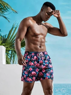 Shein Men Flamingo Print Swim Trunks
