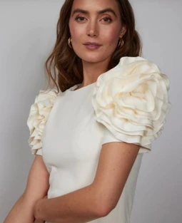 New York & Company Ruffle-sleeve Sheath Dress - Magic Crepe®